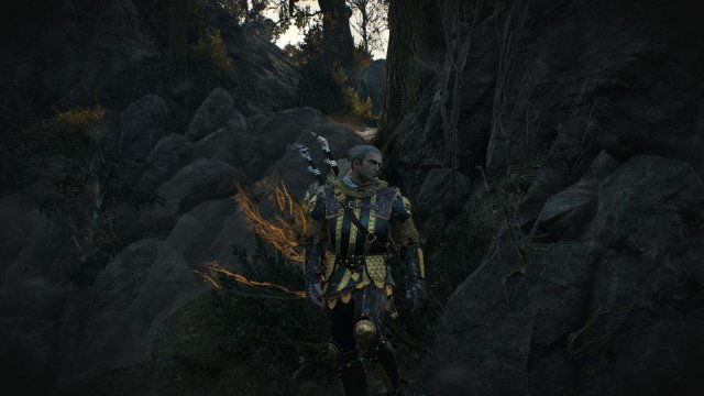 witcher3 2022-02-12 23-29-34-22.jpg