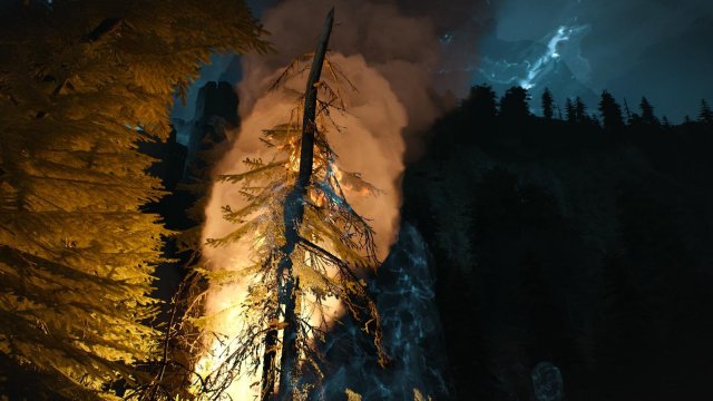 witcher3 2022-01-19 22-54-48-29.jpg