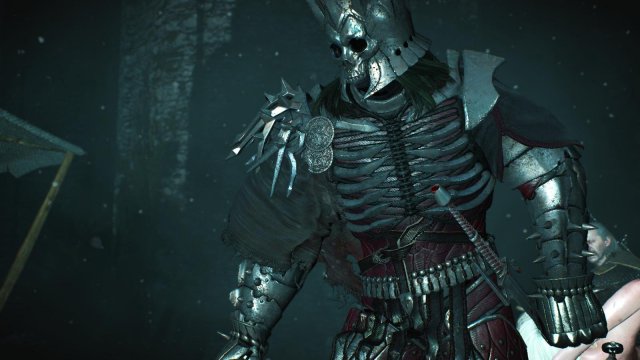 witcher3 2022-01-19 23-16-12-43.jpg