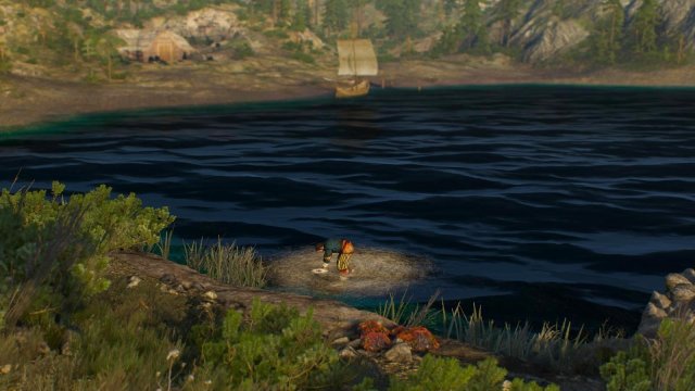 witcher3 2022-01-11 22-20-22-01.jpg