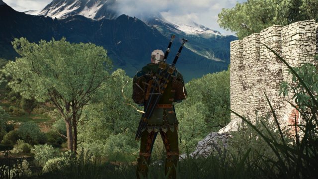 witcher3 2022-02-10 00-16-27-80.jpg
