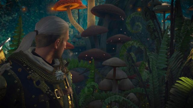 witcher3 2022-02-10 22-36-35-05.jpg