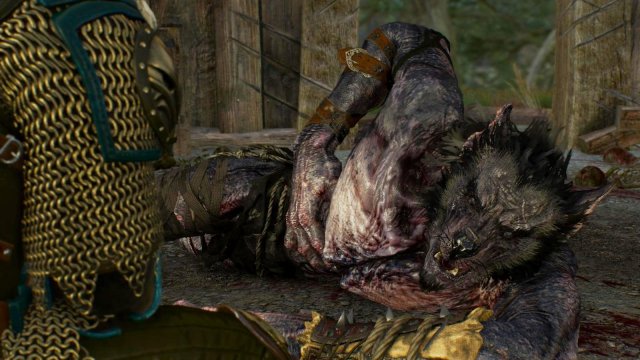 witcher3 2022-01-11 21-59-33-09.jpg