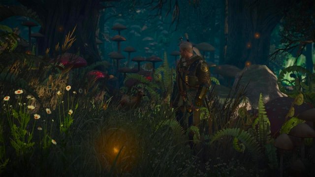 witcher3 2022-02-10 22-36-32-65.jpg