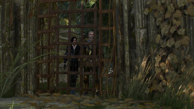 witcher3 2022-01-11 21-47-10-78.jpg