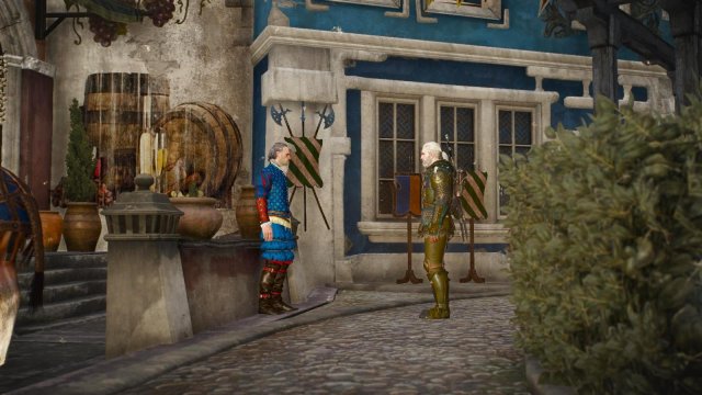 witcher3 2022-01-24 22-13-46-29.jpg