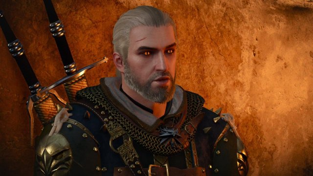 witcher3 2022-02-10 20-08-53-45.jpg