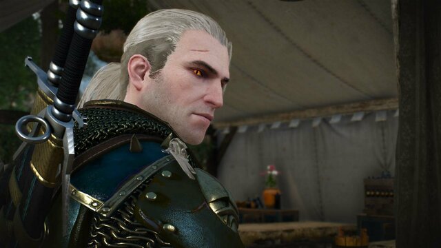 witcher3 2022-01-28 23-33-45-43.jpg
