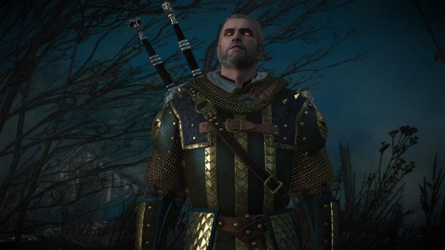 witcher3 2022-02-07 21-30-56-79.jpg