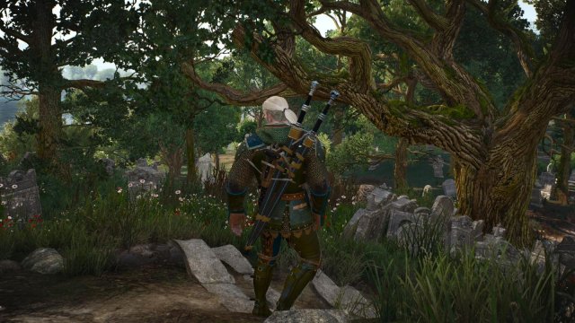 witcher3 2022-02-06 22-04-19-73.jpg