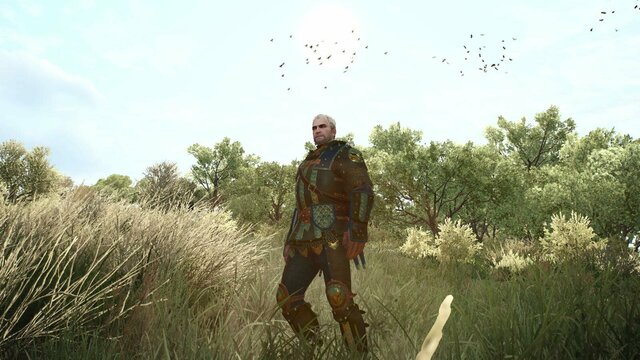 witcher3 2022-02-06 21-13-05-72.jpg