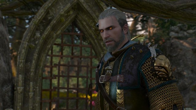 witcher3 2022-01-11 21-54-28-22.jpg