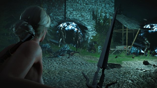 witcher3 2022-01-19 23-16-32-60.jpg