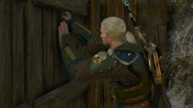 witcher3 2022-01-16 21-33-43-42.jpg