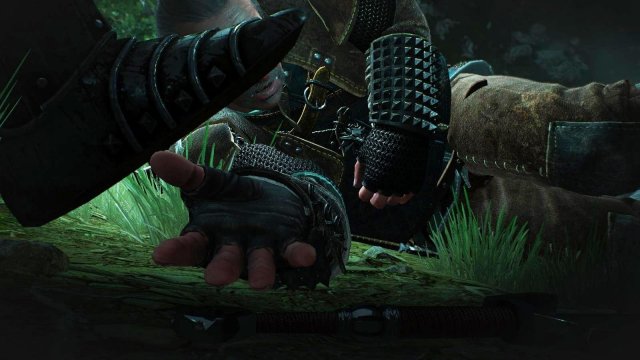 witcher3 2022-01-19 23-16-24-58.jpg