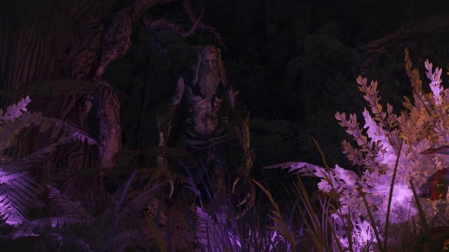 witcher3 2022-01-16 00-12-23-43.jpg