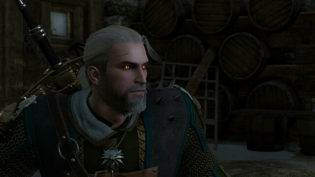 witcher3 2022-01-11 21-58-51-84.jpg