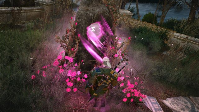 witcher3 2022-02-07 22-10-52-31.jpg