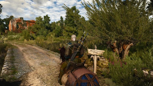 witcher3 2022-01-17 00-12-13-61.jpg