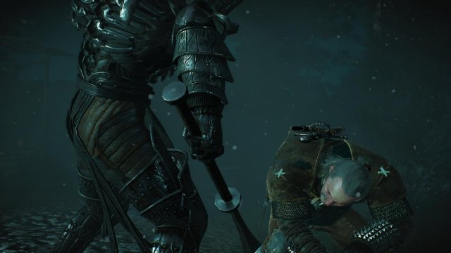 witcher3 2022-01-19 23-16-05-32.jpg