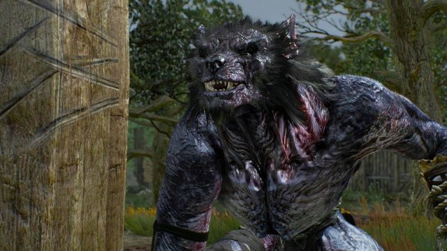 witcher3 2022-01-11 21-58-21-46.jpg