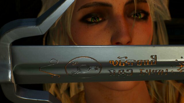 witcher3 2022-01-21 23-13-42-94.jpg