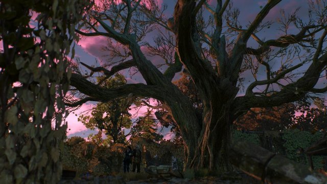 witcher3 2022-01-11 22-43-09-73.jpg