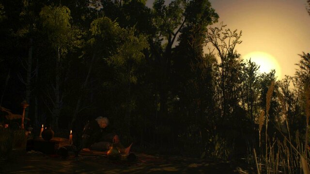 witcher3 2021-12-23 23-18-52-26.jpg