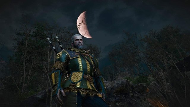 witcher3 2022-01-19 23-55-33-96.jpg