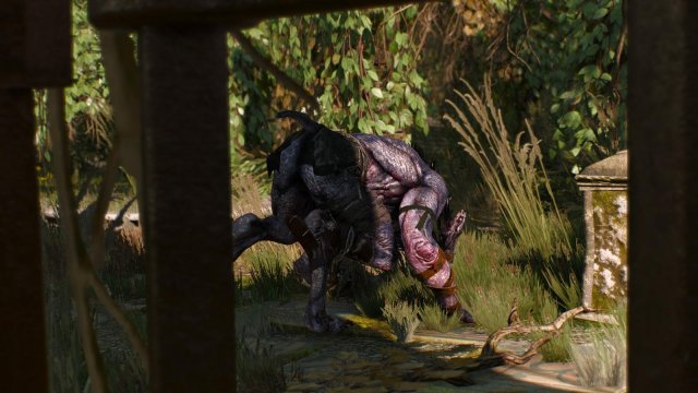 witcher3 2022-01-11 21-47-00-30.jpg