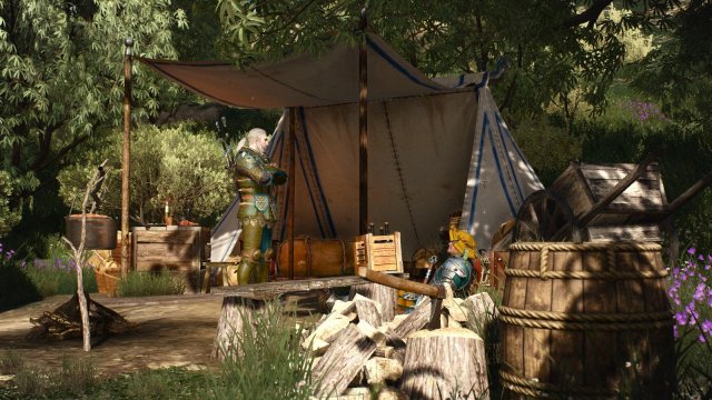 witcher3 2022-01-16 00-09-28-70.jpg