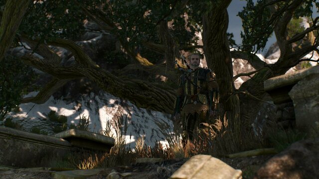 witcher3 2022-01-11 21-54-26-29.jpg