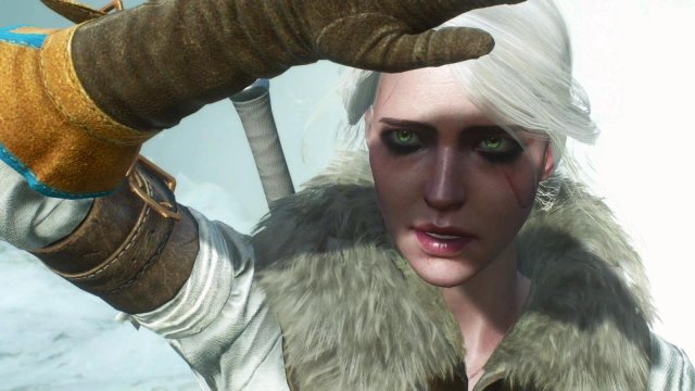 witcher3 2022-01-21 22-51-18-66.jpg