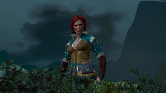 witcher3 2022-01-19 22-52-06-51.jpg