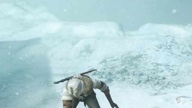 witcher3 2022-01-21 22-50-53-00.jpg