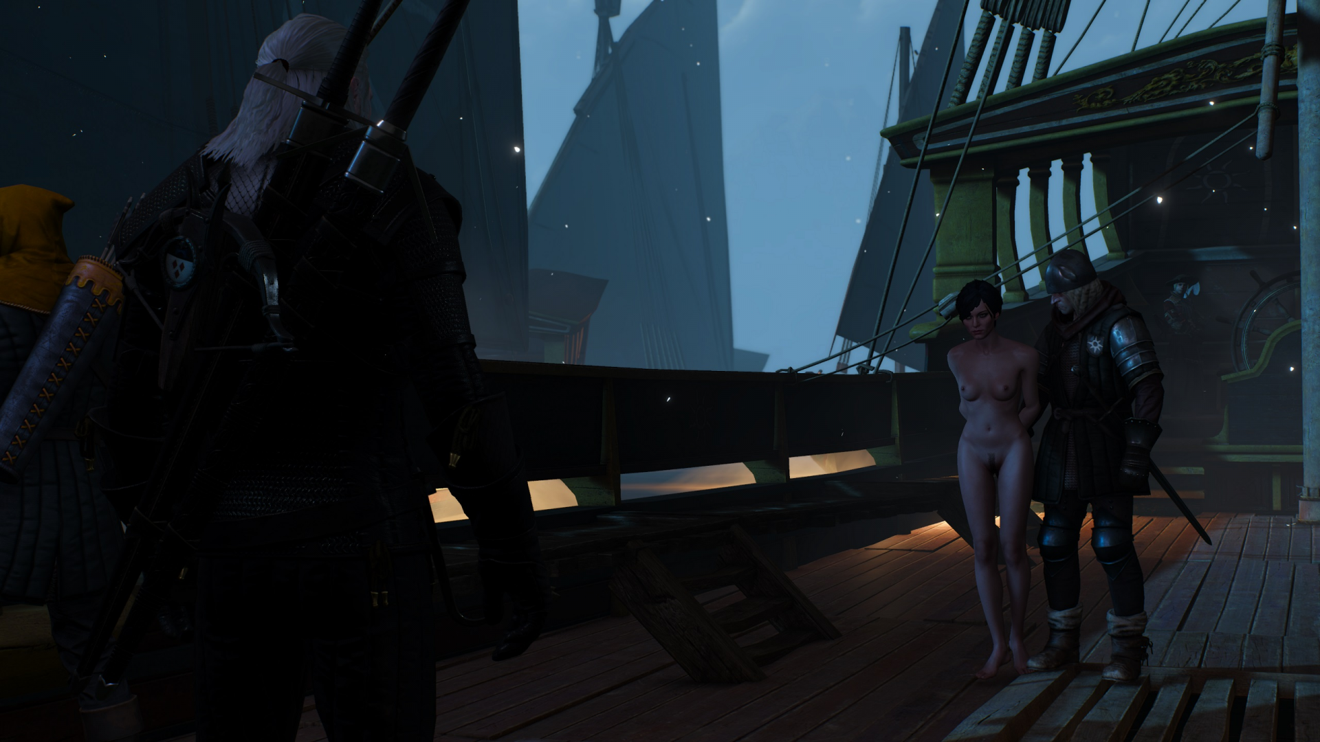 The Witcher 3 Wild Hunt 18+