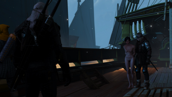 The Witcher 3 Wild Hunt 18+