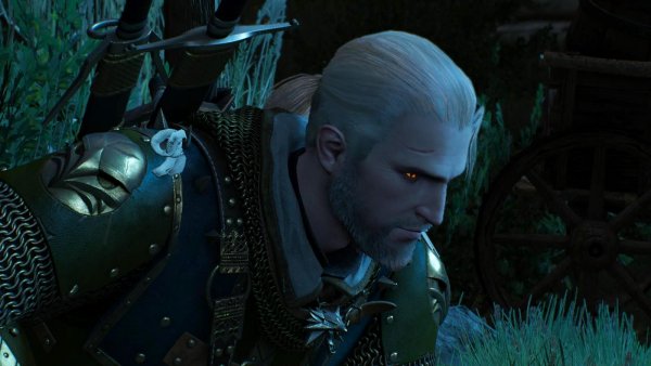 Только ГЕРАЛЬТ.. Ведьмак III