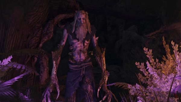 ЛЕШИЙ, или монстры мира Ведьмак III