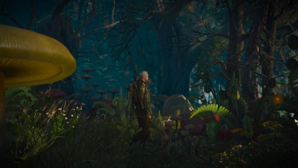 ГЕРАЛЬТ в сказочном лесу.. Ведьмак III