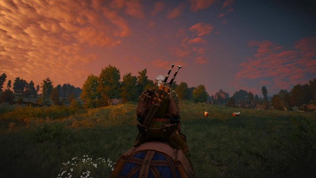 witcher3 2022-04-20 00-23-39-85.jpg