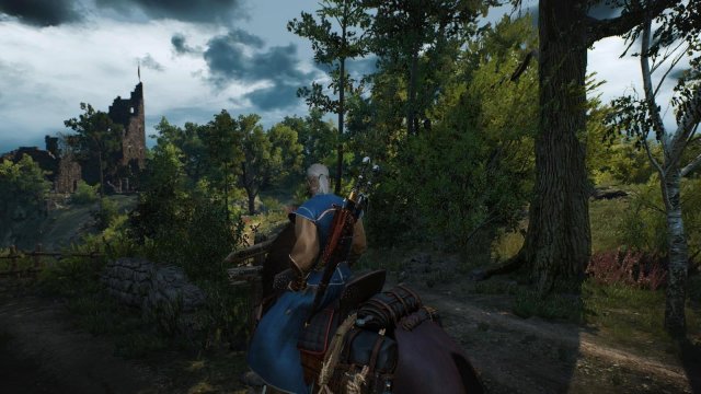 witcher3 2022-04-27 23-40-21-66.jpg