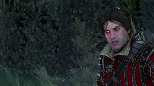 witcher3 2022-01-19 23-07-55-30.jpg