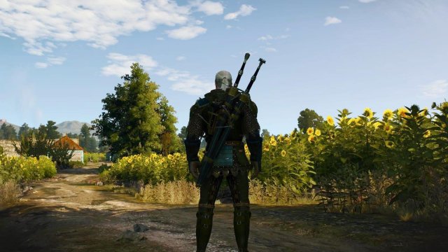witcher3 2022-02-12 01-08-00-91.jpg