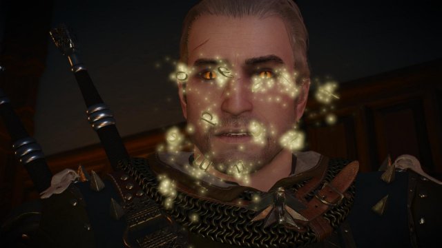 witcher3 2022-02-10 22-36-13-93.jpg