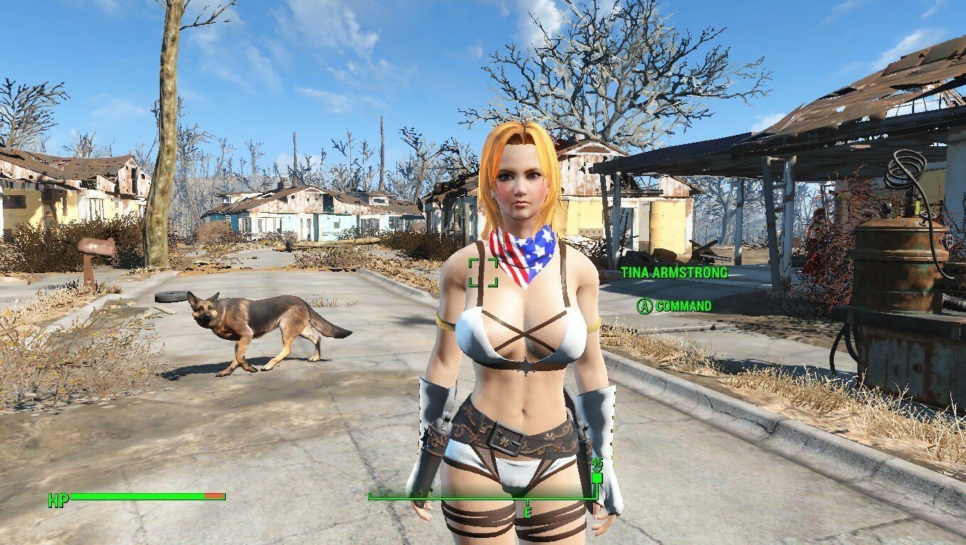 FO4 - Tina Armstrong Follower Rus