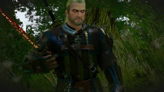 witcher3 2022-01-10 23-50-54-11.jpg