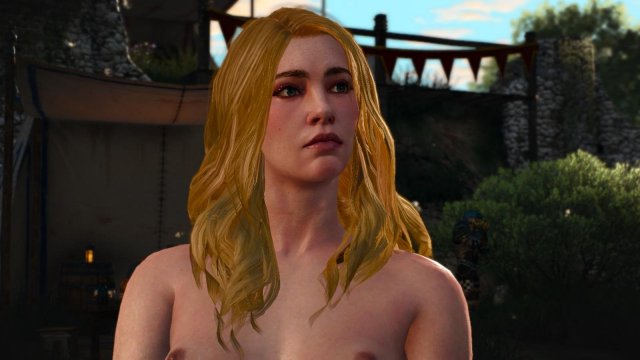 witcher3 2022-01-29 00-00-11-29.jpg