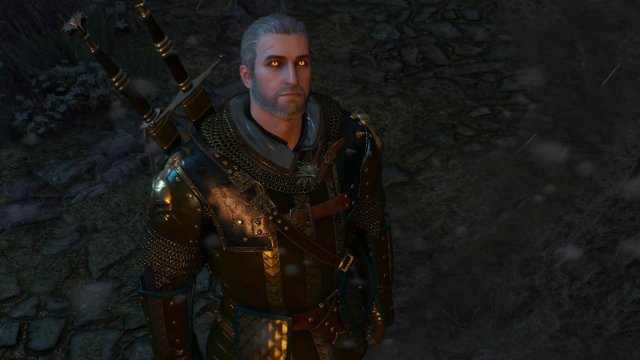 witcher3 2022-02-11 22-32-03-84.jpg