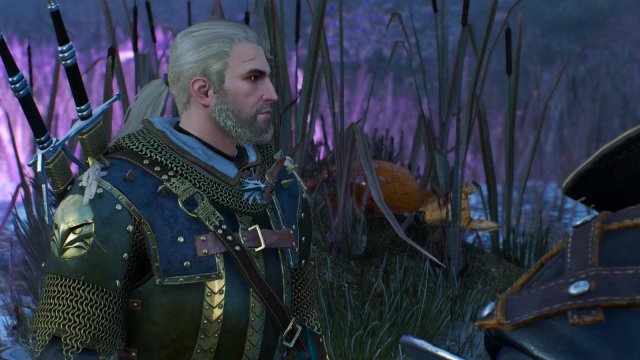 witcher3 2022-01-18 00-43-11-74.jpg